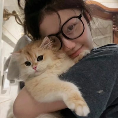 毁婚二十一条在线观看