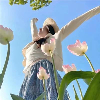 无贱道在线观看